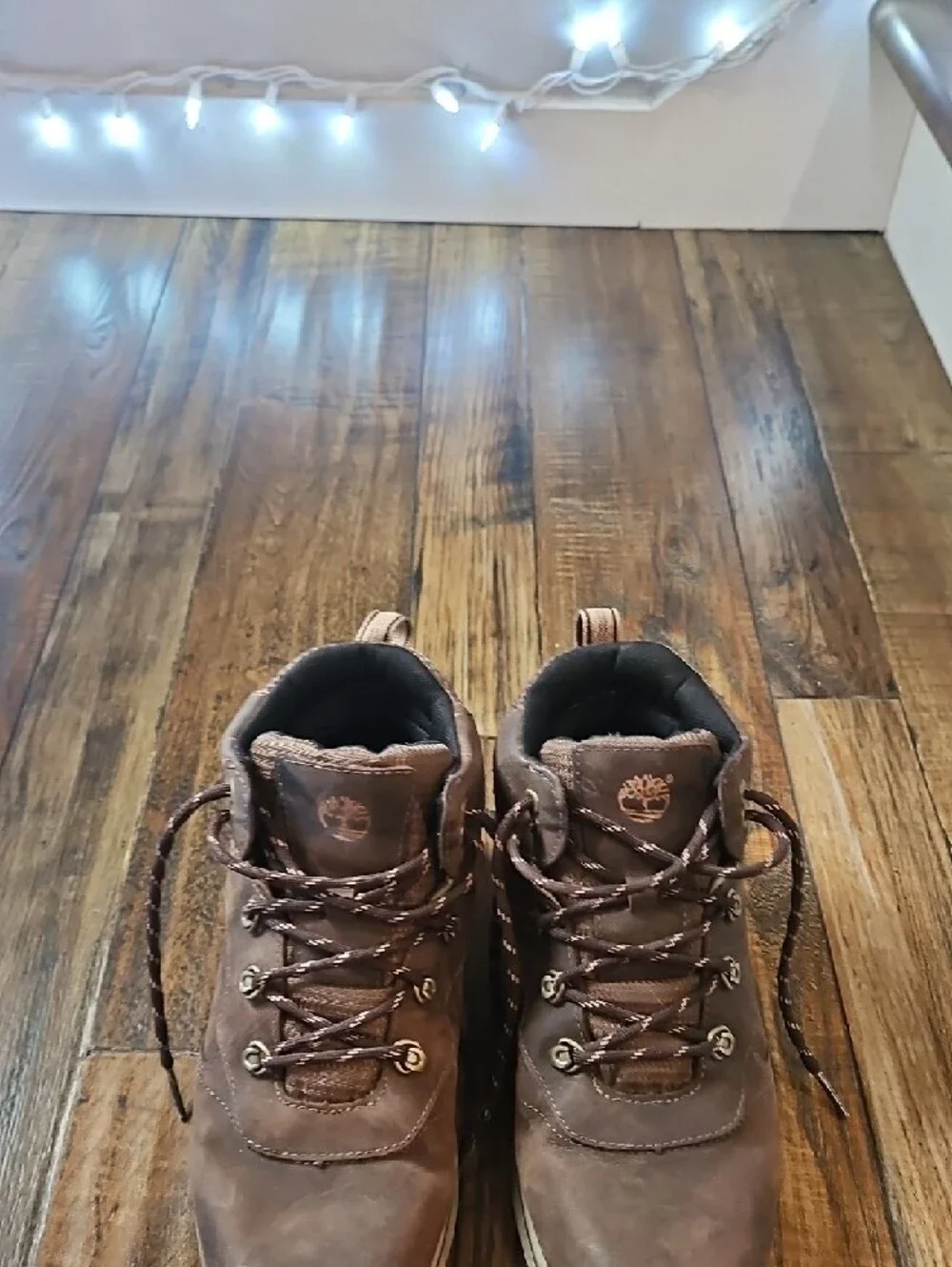 Timberland Brown Kids Waterproof Hiking Boots‎
